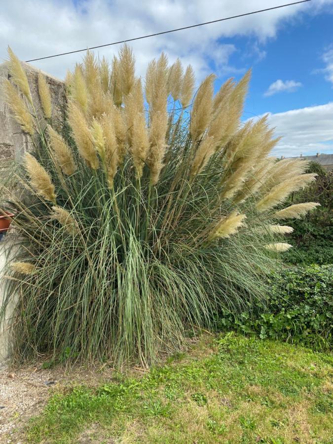 Gite Du Bois Pennier, Au Calme , A 15 Km Des Plages Du Debarquement Picauville Zewnętrze zdjęcie